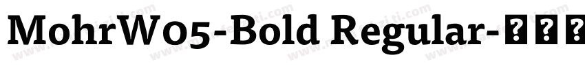 MohrW05-Bold Regular字体转换